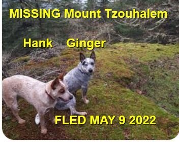 HAPPY ENDINGS - DUNCAN BC / HANK/GINGER &amp; KIPP (no photo of Kipp) / MAY 9, 2022