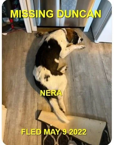 HAPPY ENDINGS - CAME HOME - DUNCAN BC / NERA / MAY9, 2022