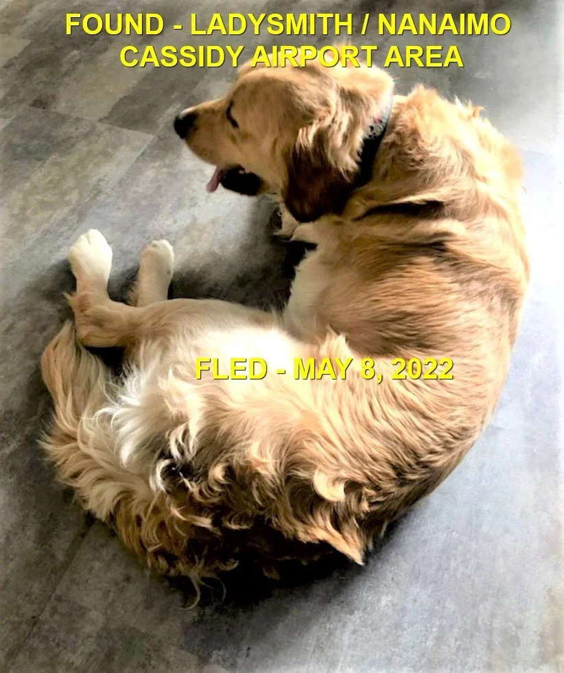 HAPPY ENDINGS - LADYSMITH BC. / BUSTER / MAY 7, 2022