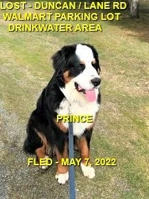 HAPPY ENDINGS / GONE TO SHELTER - DUNCAN BC / PRINCE / MAY 6, 2022