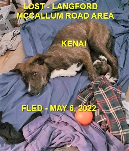 HAPPY ENDINGS - LANGFORD BC / KENAI / MAY 6, 2022