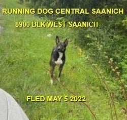 HAPPY ENDINGS - CENTRAL SAANICH BC / MAY 6, 2022