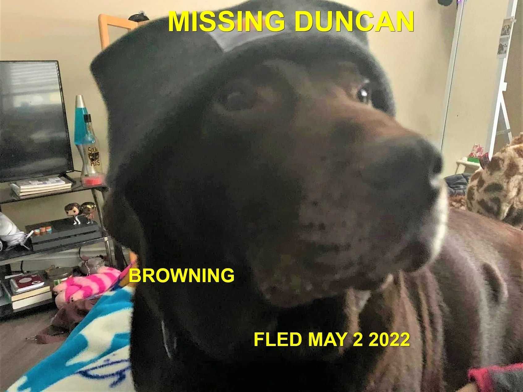 HAPPY ENDINGS - DUNCAN BC. / BROWNING / MAY 2, 2022