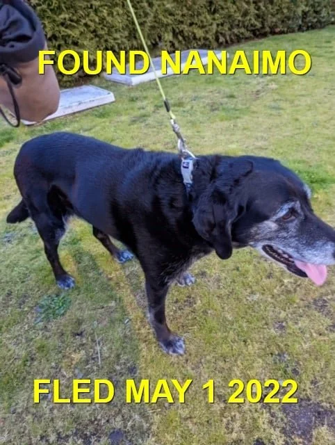 HAPPY ENDINGS - NANAIMO BC. / MAY 1, 2022