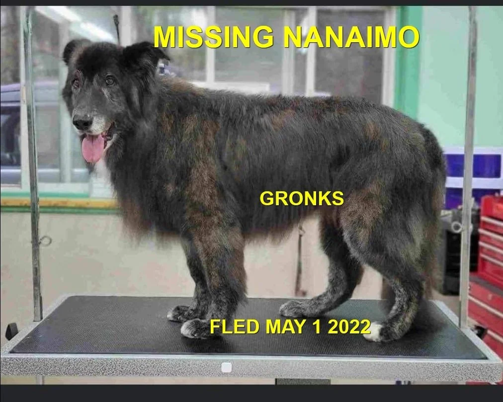 HAPPY ENDINGS - NANAIMO BC./ GRONKS / MAY 1, 2022