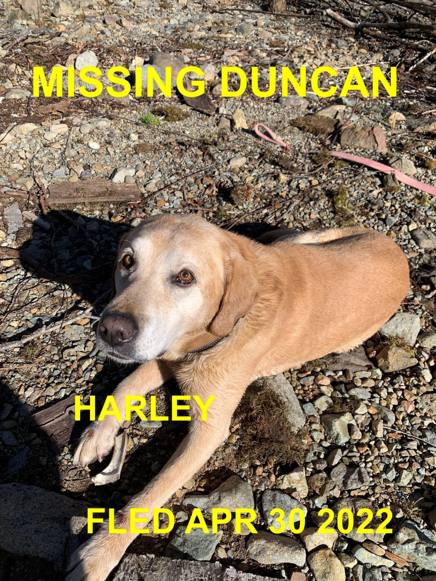 HAPPY ENDINGS - DUNCAN BC. / HARLEY / APR. 30, 2022