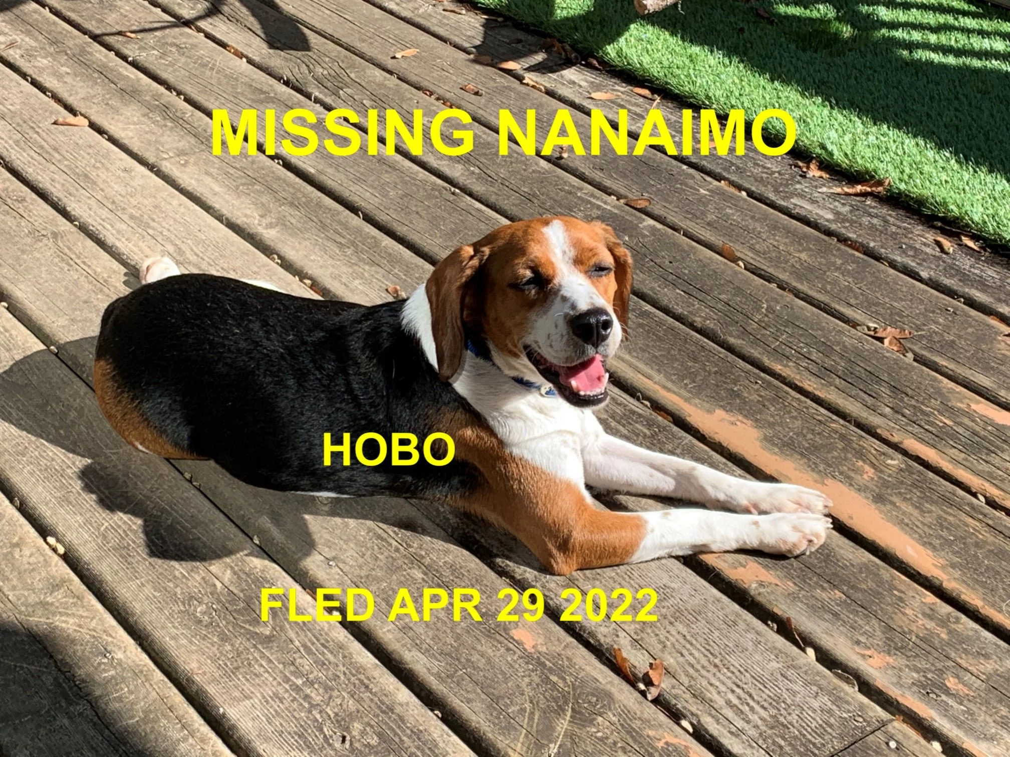 HAPPY ENDINGS - NANAIMO BC. / HOBO (HODOO) / APR. 29, 2022