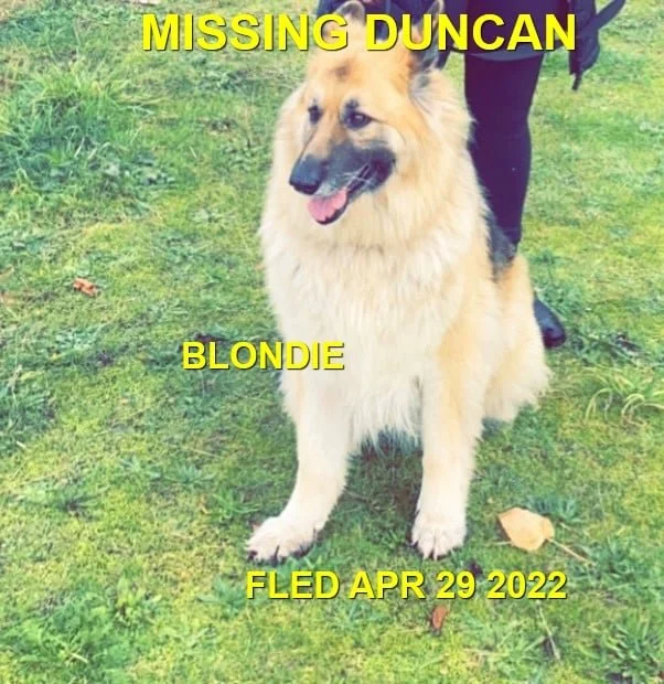HAPPY ENDINGS - DUNCAN BC. / BLONDIE / APR. 30, 2022