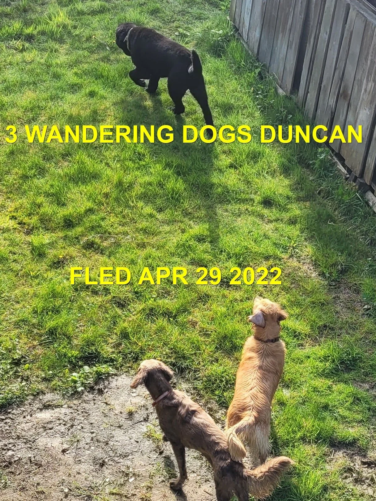 UNRESOLVED - DUNCAN BC. / APR. 29, 2022