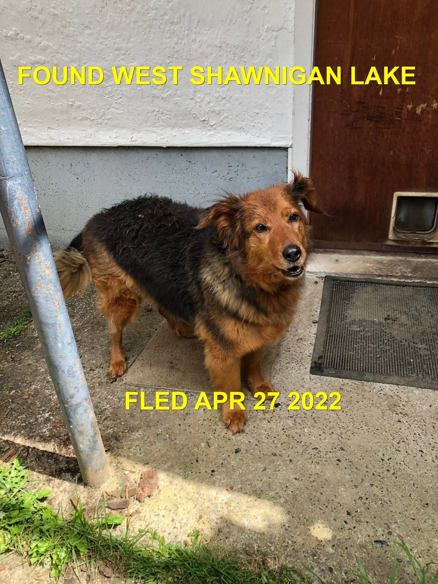 HAPPY ENDINGS - SHAWNIGAN LAKE BC. / APR. 27, 2022