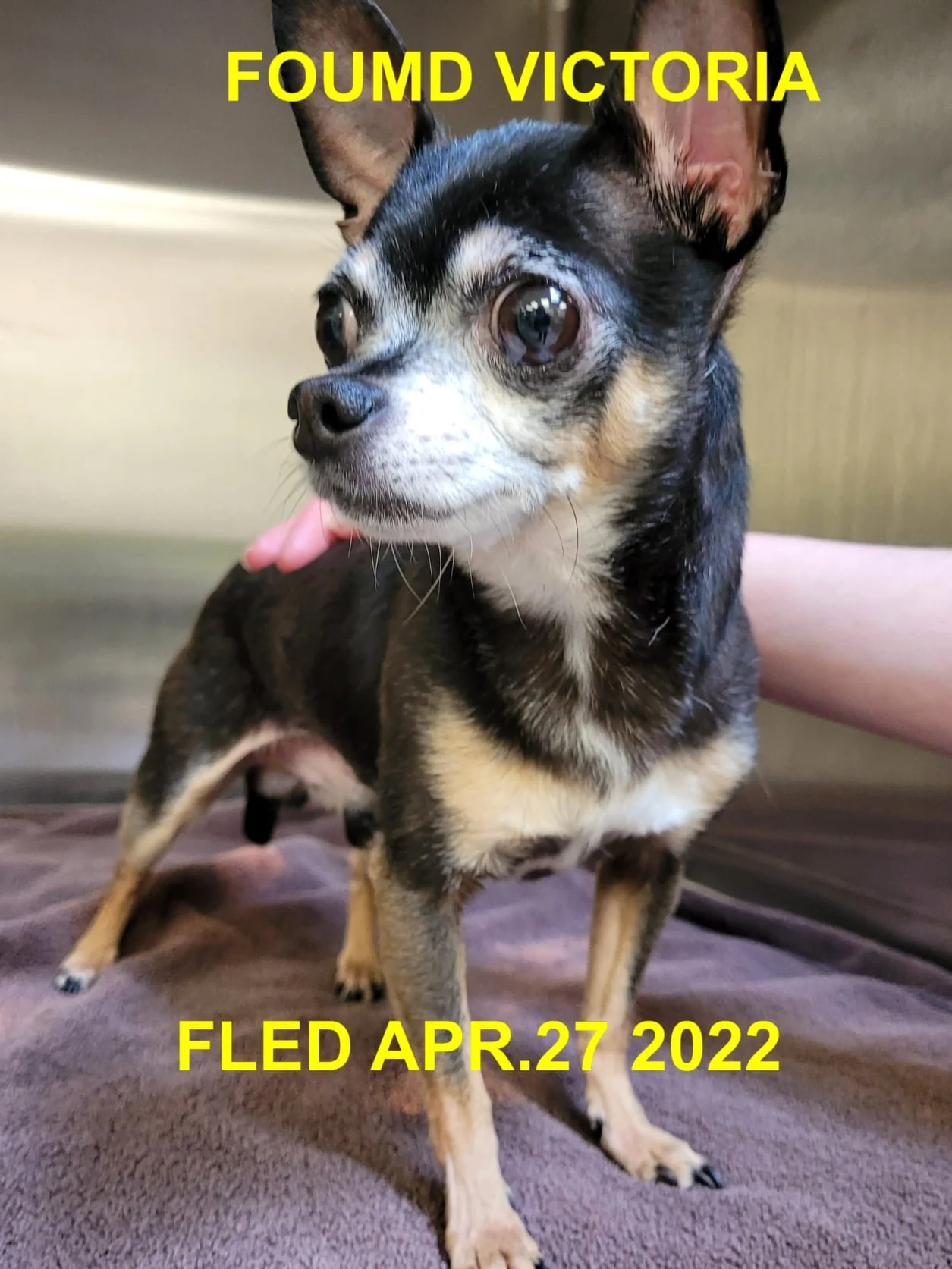 HAPPY ENDINGS - SAANICH BC. / APR. 27, 2022