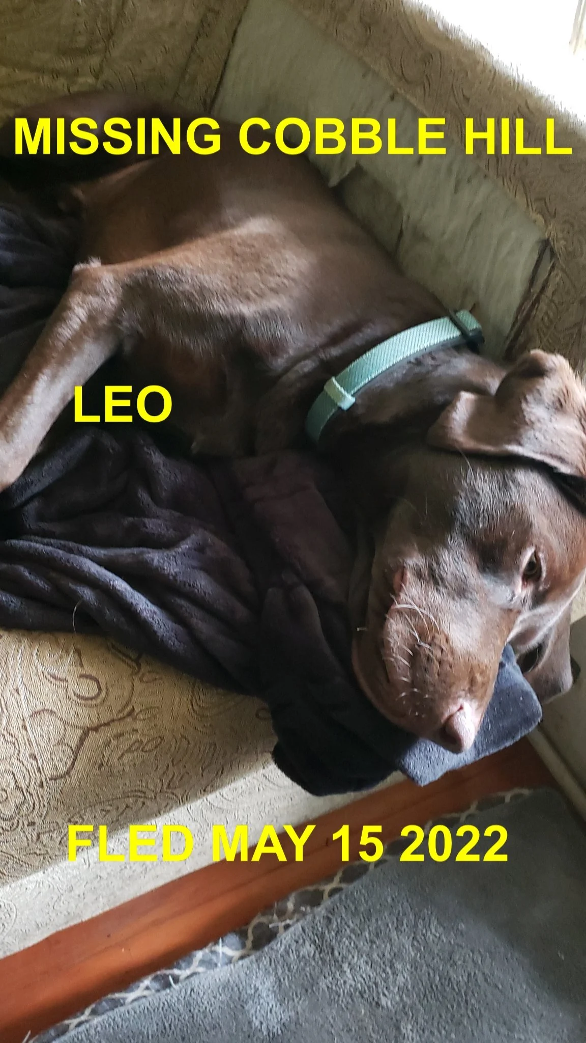 HAPPY ENDINGS - COBBLE HILL BC. / LEO / MAY 15, 2022