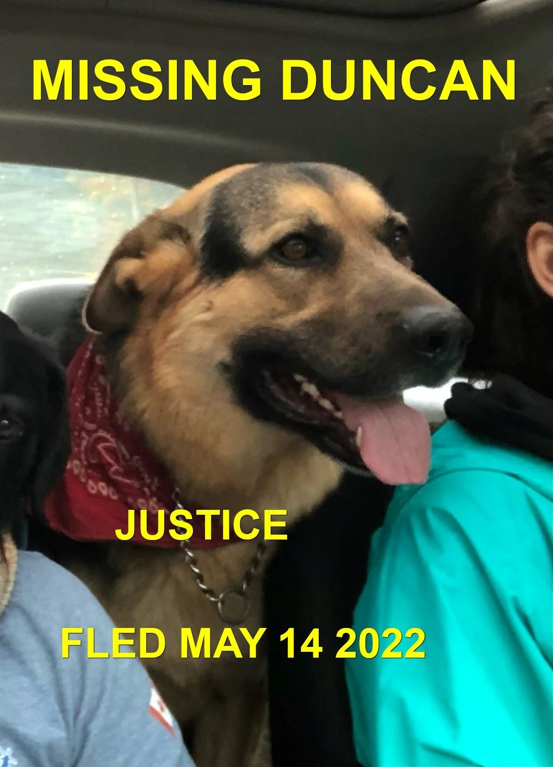 HAPPY ENDINGS - DUNCAN BC. / JUSTICE / MAY 14, 2022