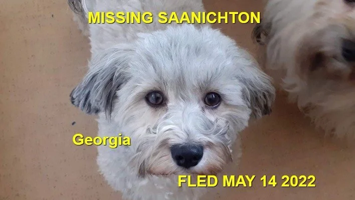 HAPPY ENDINGS - SAANICHTON BC. / GRORGIA / MAY 14, 2022