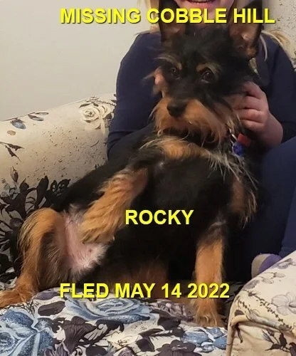 HAPPY ENDINGS - COBBLE HILL BC. / ROCKY / MAY 14, 2022