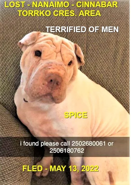 HAPPY ENDINGS - NANAIMO BC. / SPICE / MAY 12, 2022