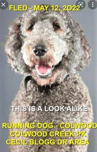 UNRESOLVED - COLWOOD BC. / MAY 12, 2022