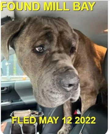 GONE TO SHELTER / HAPPY ENDINGS - MILL BAY BC. / GARY / MAY 12, 2022