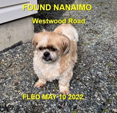 HAPPY ENDINGS  -NANAIMO BC. / MAY 10, 2022