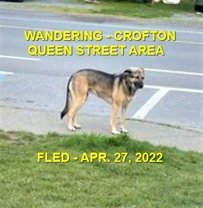 UNRESOLVED - CROFTON BC. / APRIL 27, 2022