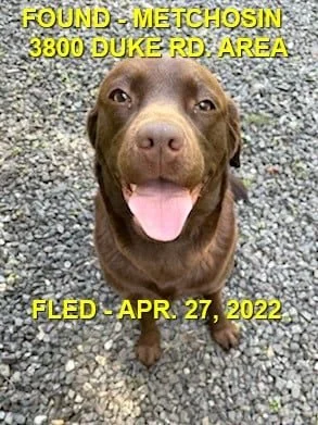 HAPPY ENDINGS - METCHOSIN BC. / APRIL 27, 2022