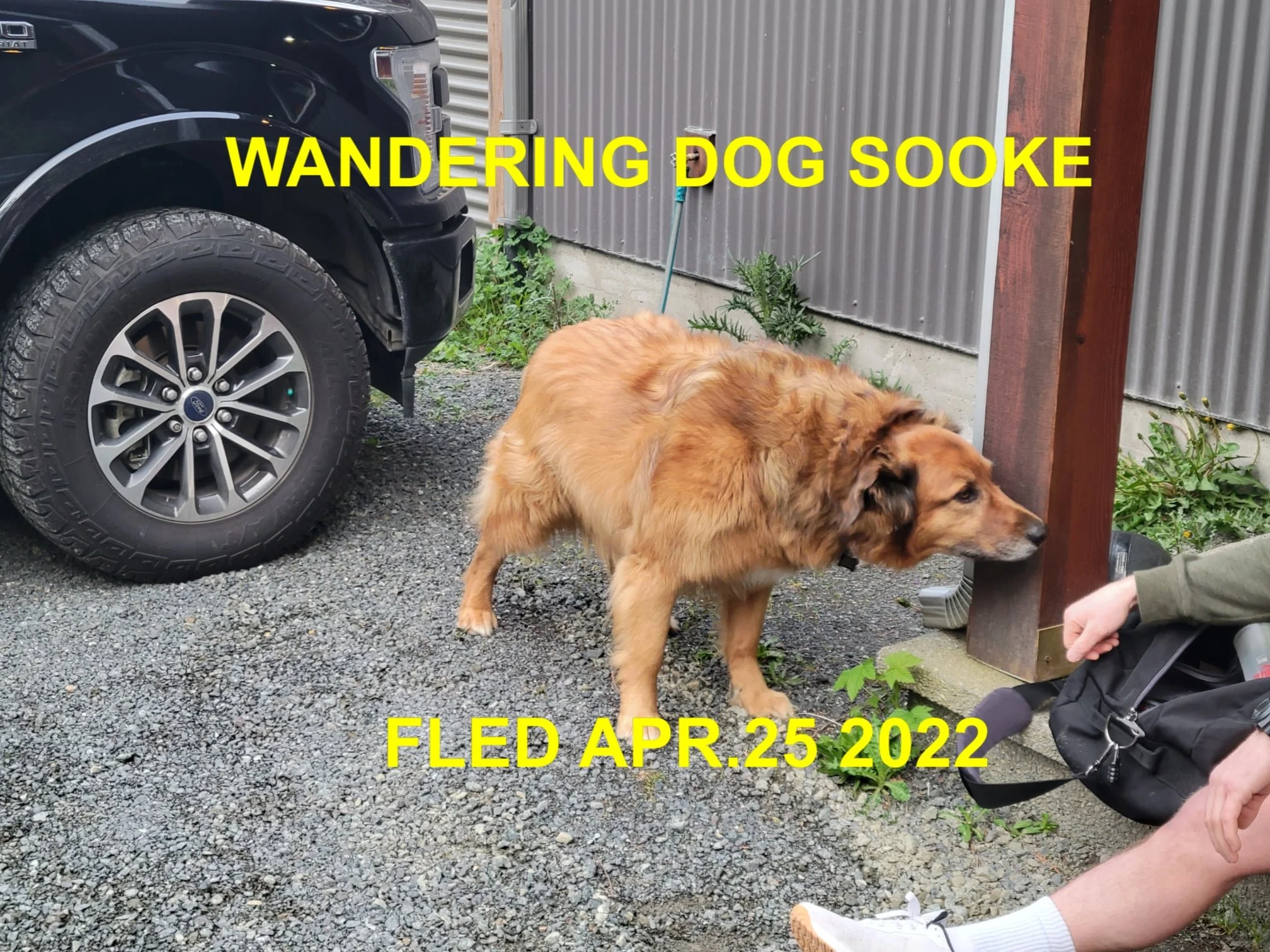 UNRESOLVED - SOOKE BC. / APRIL 25, 2022