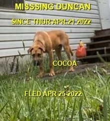 WENT HOME ON HIS OWN - DUNCAN BC. / COCOA / APRIL 25, 2022