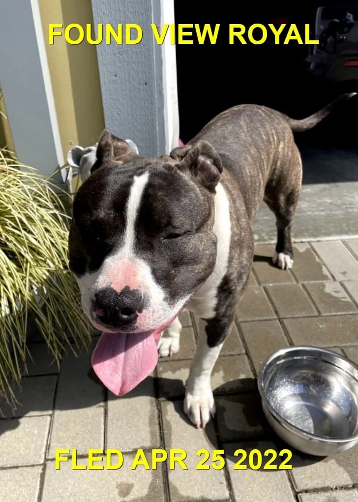 HAPPY ENDINGS - VIEW ROYAL BC / APRIL 24, 2022