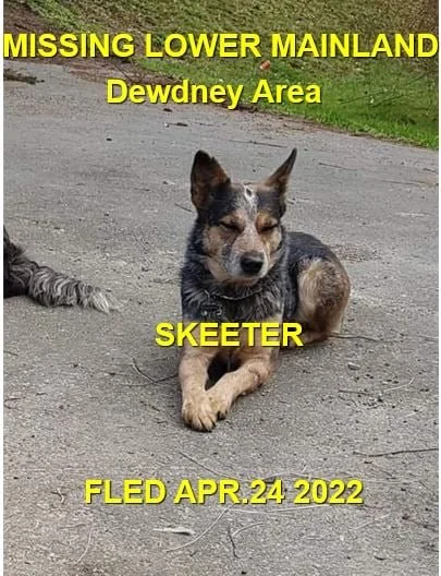 COURTESY POST / HAPPY ENDINGS - LOWER MAINLAND BC. / SKEETER / APRIL 24, 2022