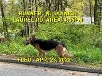 UNRESOLVED - NORTH SAANICH BC. / APRIL 23, 2022