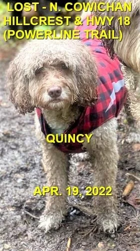 HAPPY ENDINGS - DUNCAN / QUINCY / APRIL 19, 2022