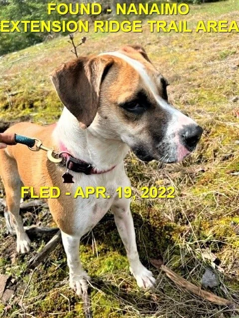 HAPPY ENDINGS - NANAIMO BC. / APRIL 19, 2022