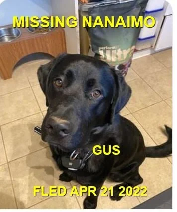 HAPPY ENDINGS - NANAIMO BC. / GUS / APRIL 21, 2022