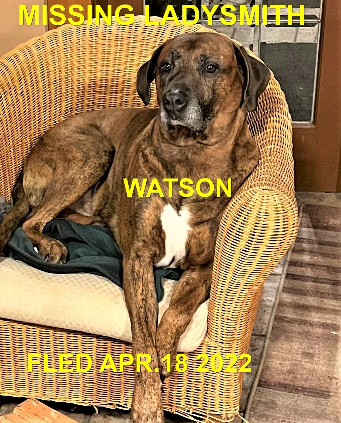 HAPPY ENDINGS - LADYSMITH BC. / WATSON / APRIL 18, 2022