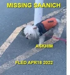 GONE TO SHELTER / HAPPY ENDINGS - SAANICH BC. / ASKHIM / APRIL 18, 2022