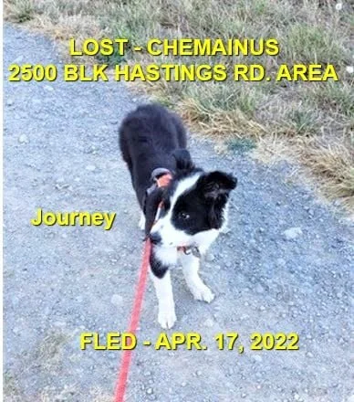 HAPPY ENDINGS - CHEMANINUS BC. / JOURNEY / APRIL 17, 2022