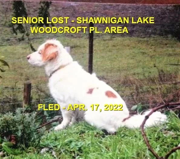 HAPPY ENDINGS - SHAWNIGAN LAKE BC. / APRIL 17, 2022