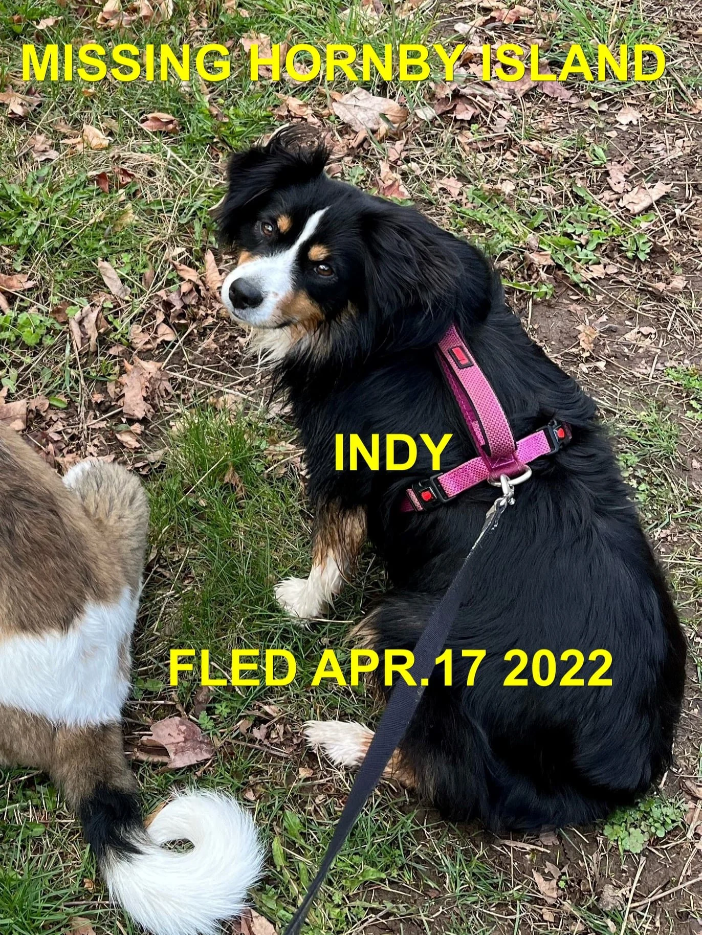 HAPPY ENDINGS - HORNBY ISLAND BC. / INDY / APRIL 17, 2022