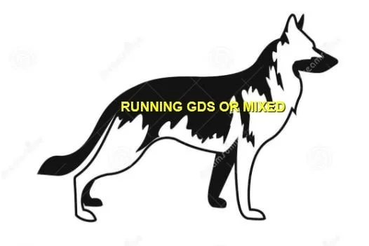 HAPPY ENDINGS - CENTRAL SAANICH BC. / APRIL 15, 2022