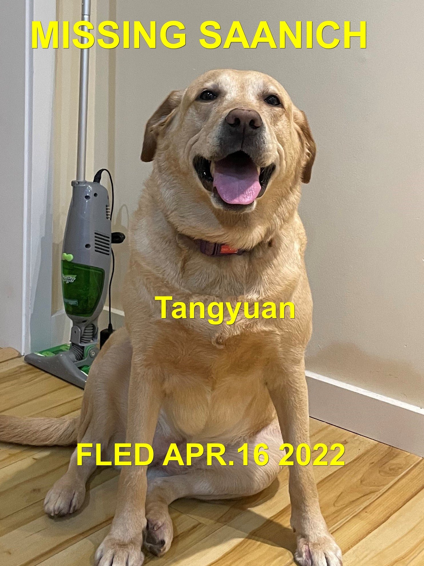 HAPPY ENDINGS - SAANICH BC. / TANGYUAN / APRIL 15, 2022