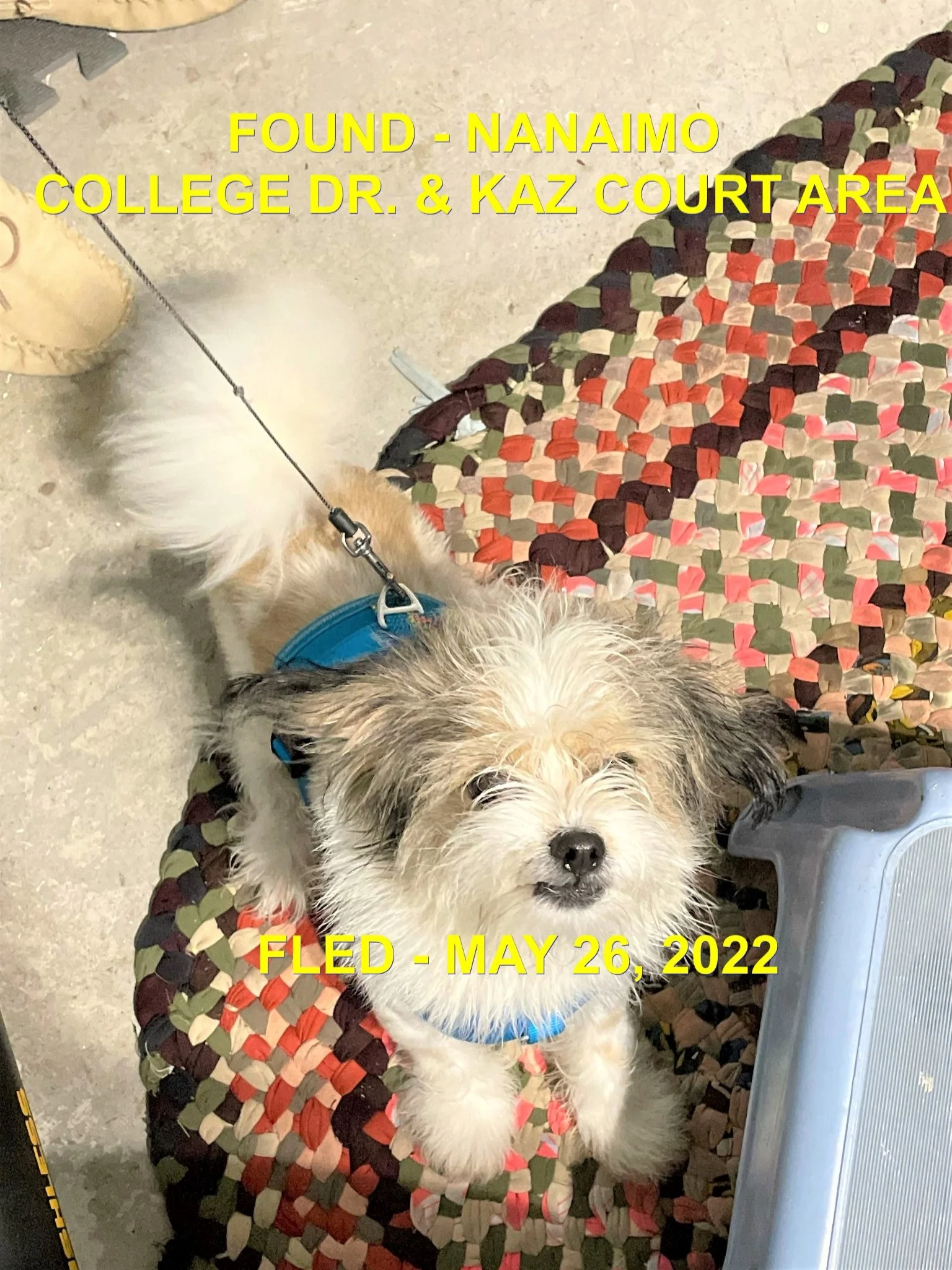 HAPPY ENDINGS - NANAIMO BC. / HUNTER / MAY 26, 2022