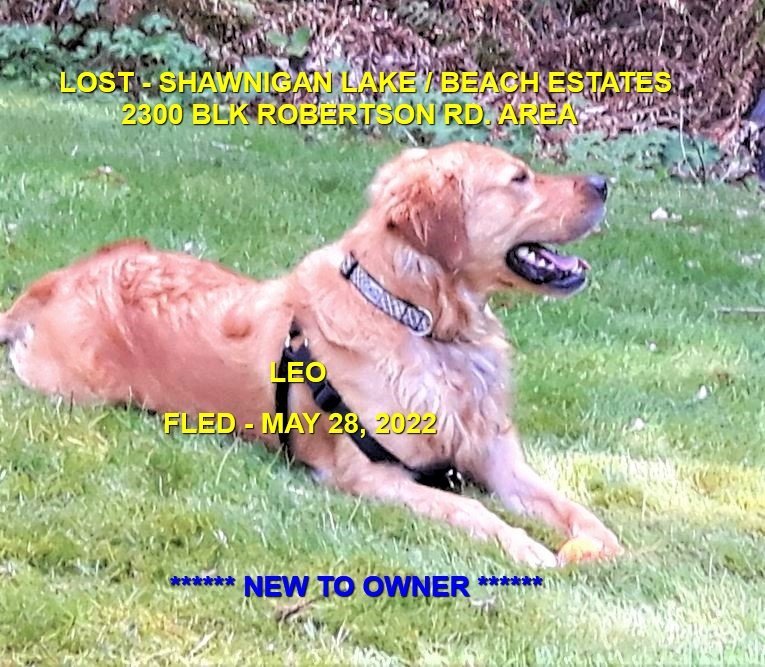 HAPPY ENDINGS / GONE TO SHELTER - SHAWNIGAN LAKE BC. / LEO / MAY 28, 2022
