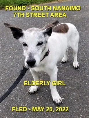 HAPPY ENDINGS - NANAIMO BC / MAY 26, 2022