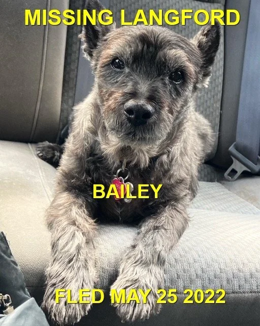 HAPPY ENDING - LANGFORD / SENIOR BAILEY / MAY 25, 2022