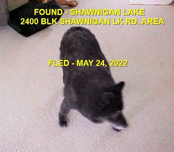 HAPPY ENDINGS - SHAWNIGAN LAKE BC. / MAY 24, 2022