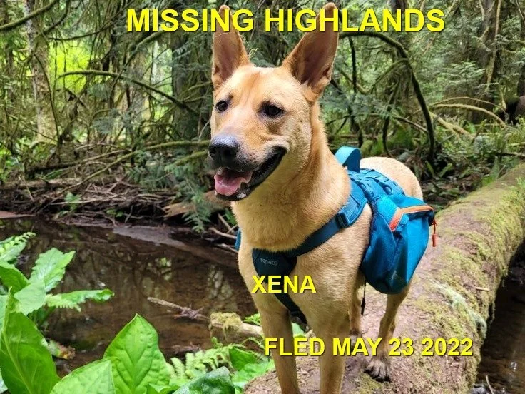 HAPPY ENDINGS - HIGHLANDS BC. / XENA / MAY 23, 2022