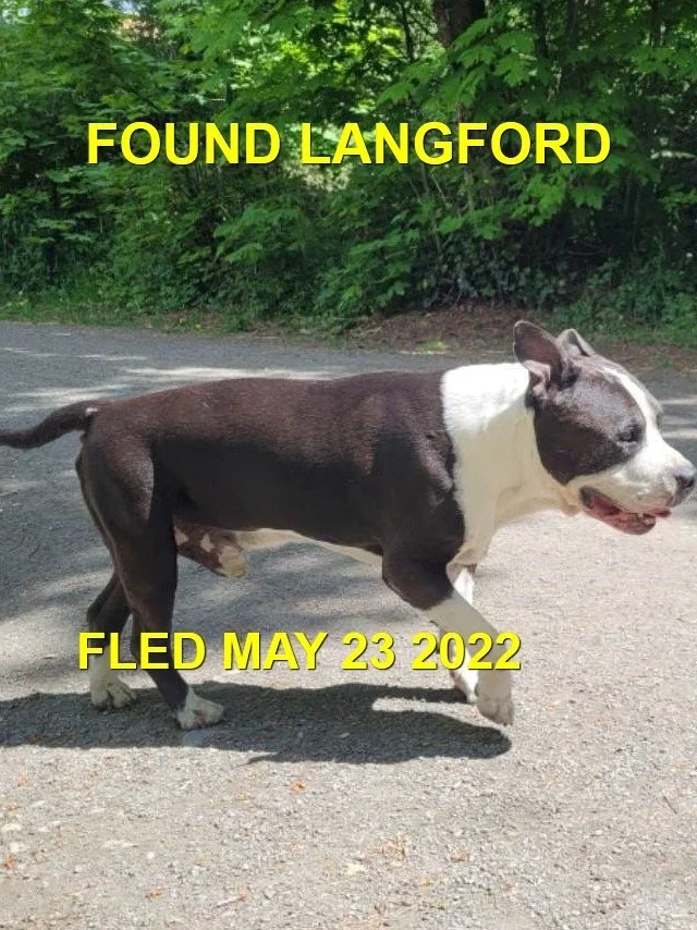 HAPPY ENDINGS - LANGFORD BC. / MAY 23, 2022