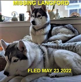 HAPPY ENDINGS - LANGFORD BC. / NIKITA &amp; JASPER / MAY 23, 2022