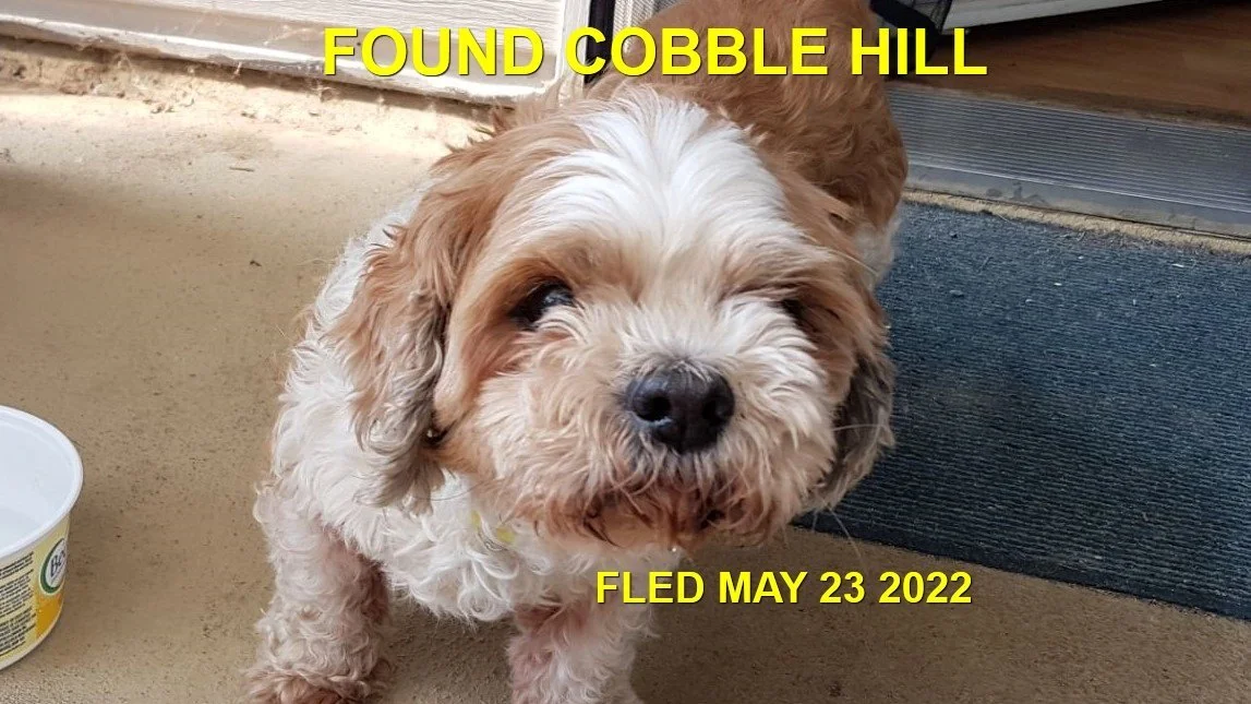 HAPPY ENDINGS - COBBLE HILL BC. / MAY 23, 2022