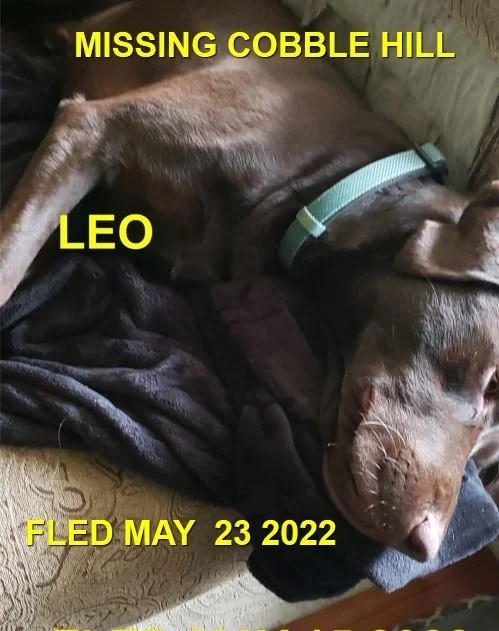 HAPPY ENDINGS - COBBLE HILL BC. / LEO / MAY 23, 2022